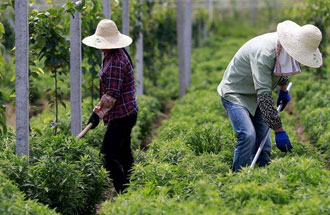 7月30日，河南省中藥材生產(chǎn)工作暨產(chǎn)業(yè)扶貧現(xiàn)場會(huì)在南陽市南召縣成功召開